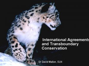 International Agreements and Transboundary Conservation Dr David Mallon