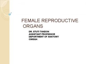 FEMALE REPRODUCTIVE ORGANS DR STUTI TANDON ASSISTANT PROFESSOR