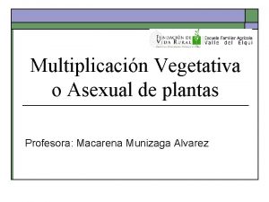 Multiplicacin Vegetativa o Asexual de plantas Profesora Macarena