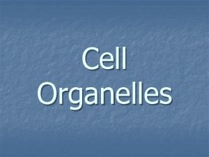 Cell organelles vocabulary