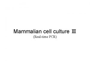 Mammalian cell culture Realtime PCR Introduction c DNA