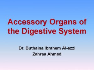 Accessory Organs of the Digestive System Dr Buthaina