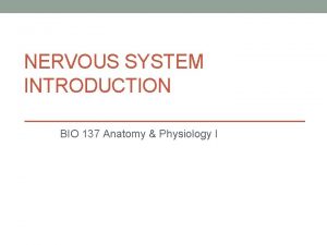 NERVOUS SYSTEM INTRODUCTION BIO 137 Anatomy Physiology I