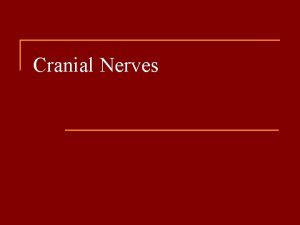 Cranial Nerves Olfactory Nerve I n n Sense