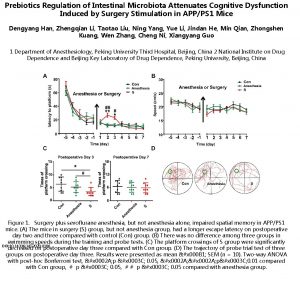 Prebiotics Regulation of Intestinal Microbiota Attenuates Cognitive Dysfunction