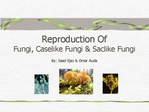 Reproduction Of Fungi Caselike Fungi Saclike Fungi By