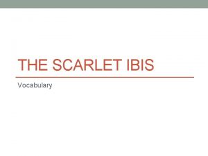 The scarlet ibis vocabulary