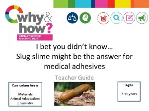 I bet you didnt know Slug slime might