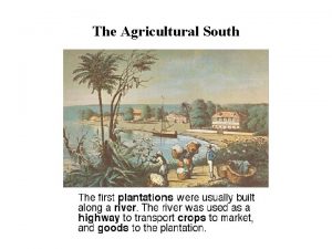 The Agricultural South The Agricultural South In the