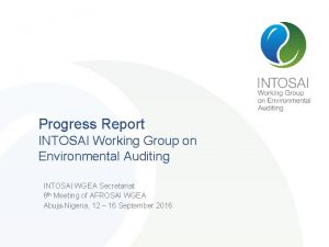 Progress Report INTOSAI Working Group on Environmental Auditing