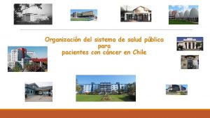 Organizacin del sistema de salud pblica para pacientes