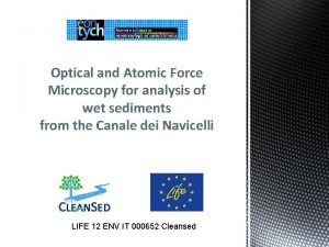 Optical and Atomic Force Microscopy for analysis of