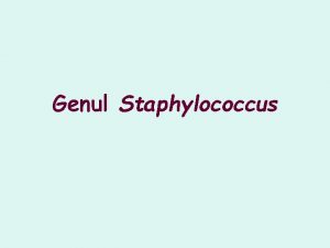 Staphylococcus coagulazo-pozitiv