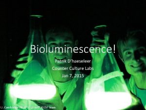 Bioluminescence Patrik Dhaeseleer Counter Culture Labs Jan 7