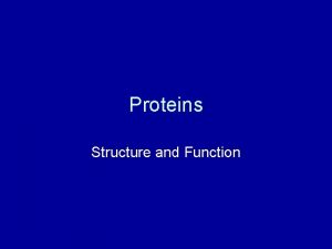 Proteins Structure and Function PROTEINS Proteins are essential