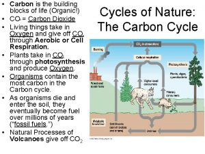 Carbon is the building block of life