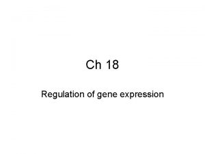 Ch 18 Regulation of gene expression Gene expression