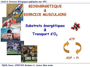 Unit 6 Sciences Biologiques appliques aux APS BIOENERGETIQUE