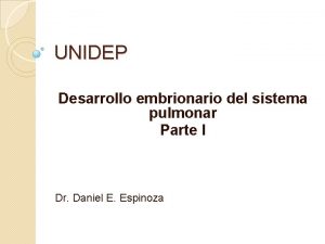 UNIDEP Desarrollo embrionario del sistema pulmonar Parte I