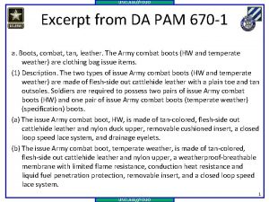 Da pam 670-1