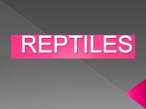 Lizard characteristics Lizard characteristics