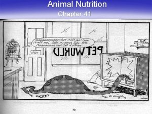 Animal Nutrition Chapter 41 Nutrition Intake of food