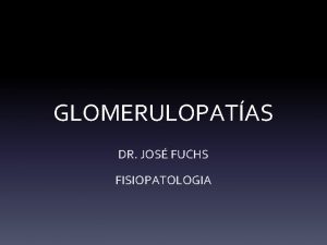 GLOMERULOPATAS DR JOS FUCHS FISIOPATOLOGIA Glomrulo 2 Histologa