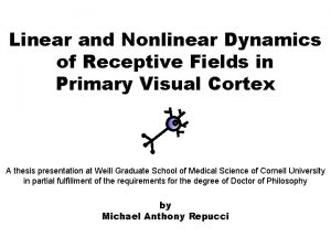 Linear and Nonlinear Dynamics of Receptive Fields in