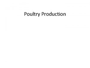 Poultry Production Broiler Production Raising Chickens for Meat