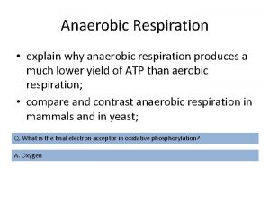 Anaerobic Respiration explain why anaerobic respiration produces a