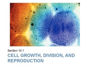 Lesson Overview Cell Growth Division and Reproduction Section