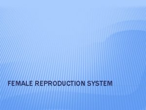 FEMALE REPRODUCTION SYSTEM ANATOMY OF THE FEMALE REPRODUCTIVE