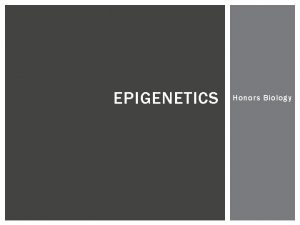 EPIGENETICS Honors Biology TWINS IDENTICAL OR FRATERNAL WHAT