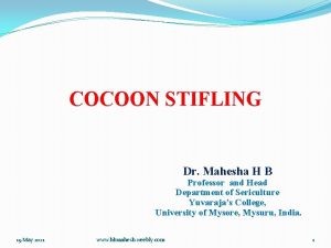 COCOON STIFLING Dr Mahesha H B Professor and