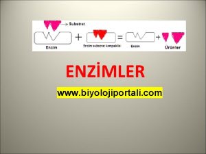 ENZMLER www biyolojiportali com ENZMLER Aktivasyon enerjisi Bir