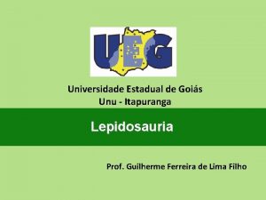 Universidade Estadual de Gois Unu Itapuranga Lepidosauria Prof