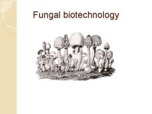 Fungal biotechnology Introduction of Fungal Biotechnology Biotechnology which