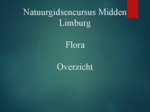 Natuurgidsencursus Midden Limburg Flora Overzicht Doelstelling Theorie vertalen
