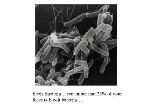 Ecoli Bacteria remember that 25 of your feces