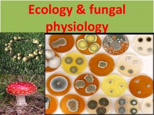 Ecology fungal physiology Some terms Mycology study of