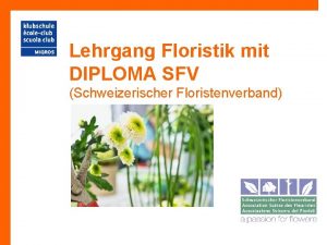 Lehrgang Floristik mit DIPLOMA SFV Schweizerischer Floristenverband Inhaltsverzeichnis