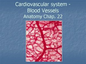 Hepatic blood flow