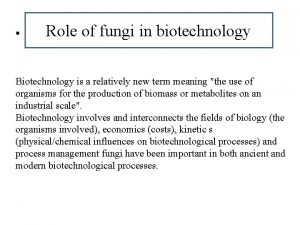 Role of fungi in biotechnology