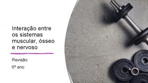 Interação entre os sistemas locomotor e nervoso 7 ano Interação entre os sistemas locomotor e nervoso 7 ano