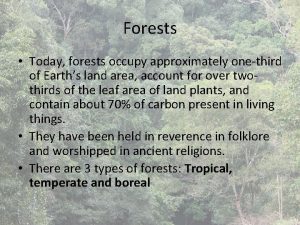 Forests Today forests occupy approximately onethird of Earths