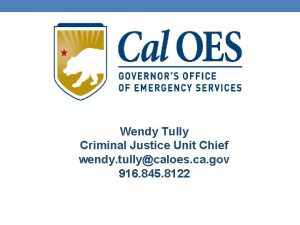 Wendy Tully Criminal Justice Unit Chief wendy tullycaloes