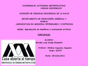 UNIVERSIDAD AUTONOMA METROPOLITANA UNIDAD XOCHIMILCO DIVISIN DE CIENCIAS