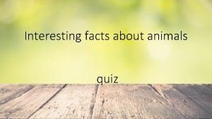 Interesting facts about animals quiz Which mammal has
