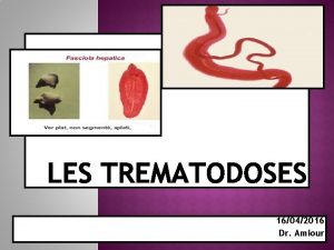 16042016 Dr Amiour INTRODUCTION Protozoaires unicellulaires Paludisme Amibes