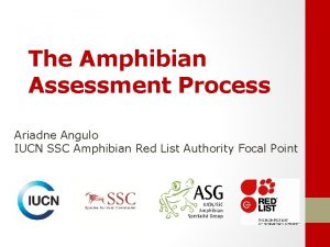 The Amphibian Assessment Process Ariadne Angulo IUCN SSC